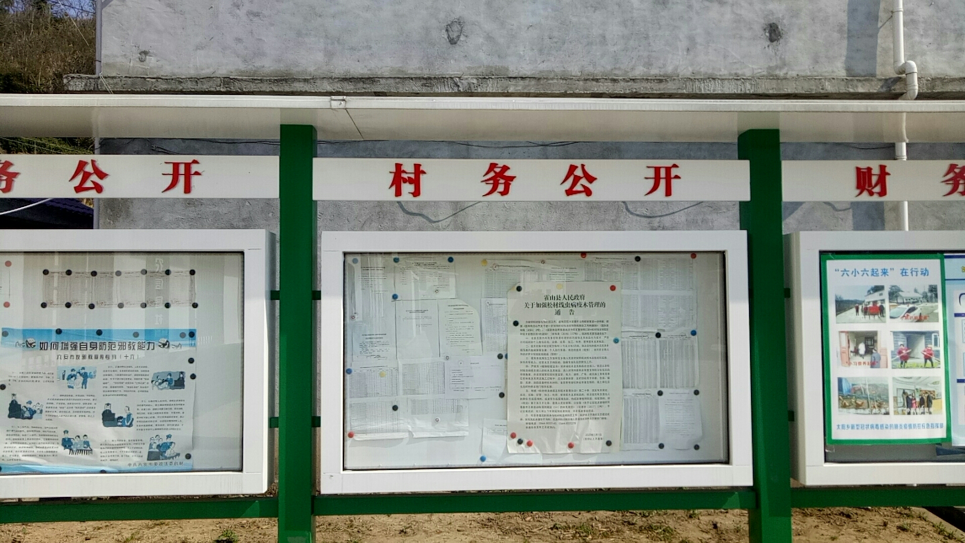 霍山县太阳乡杨家河村2020年第一季度村务公开栏