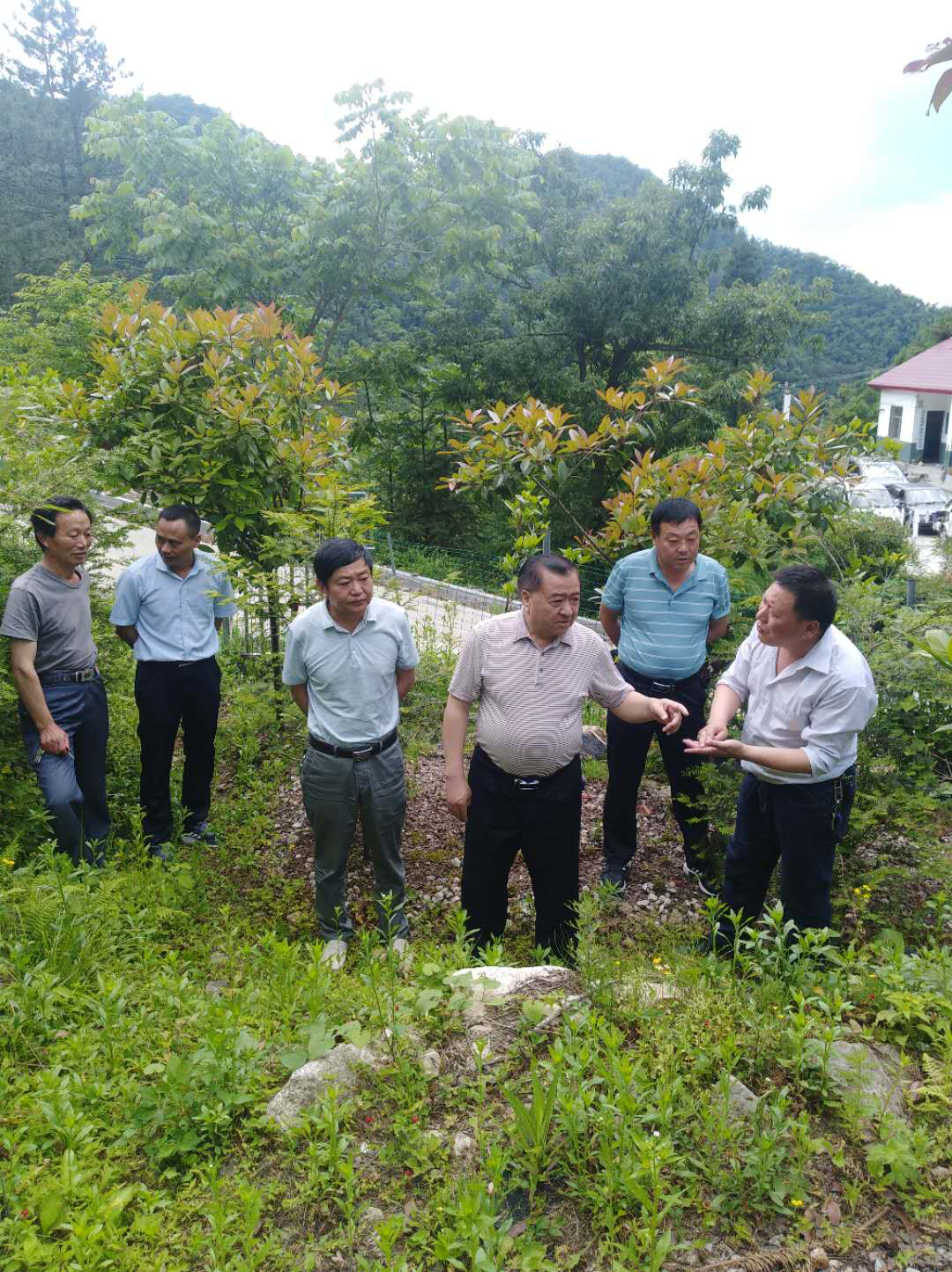 朱卫东深入国有林区开展林长制"巡林"工作