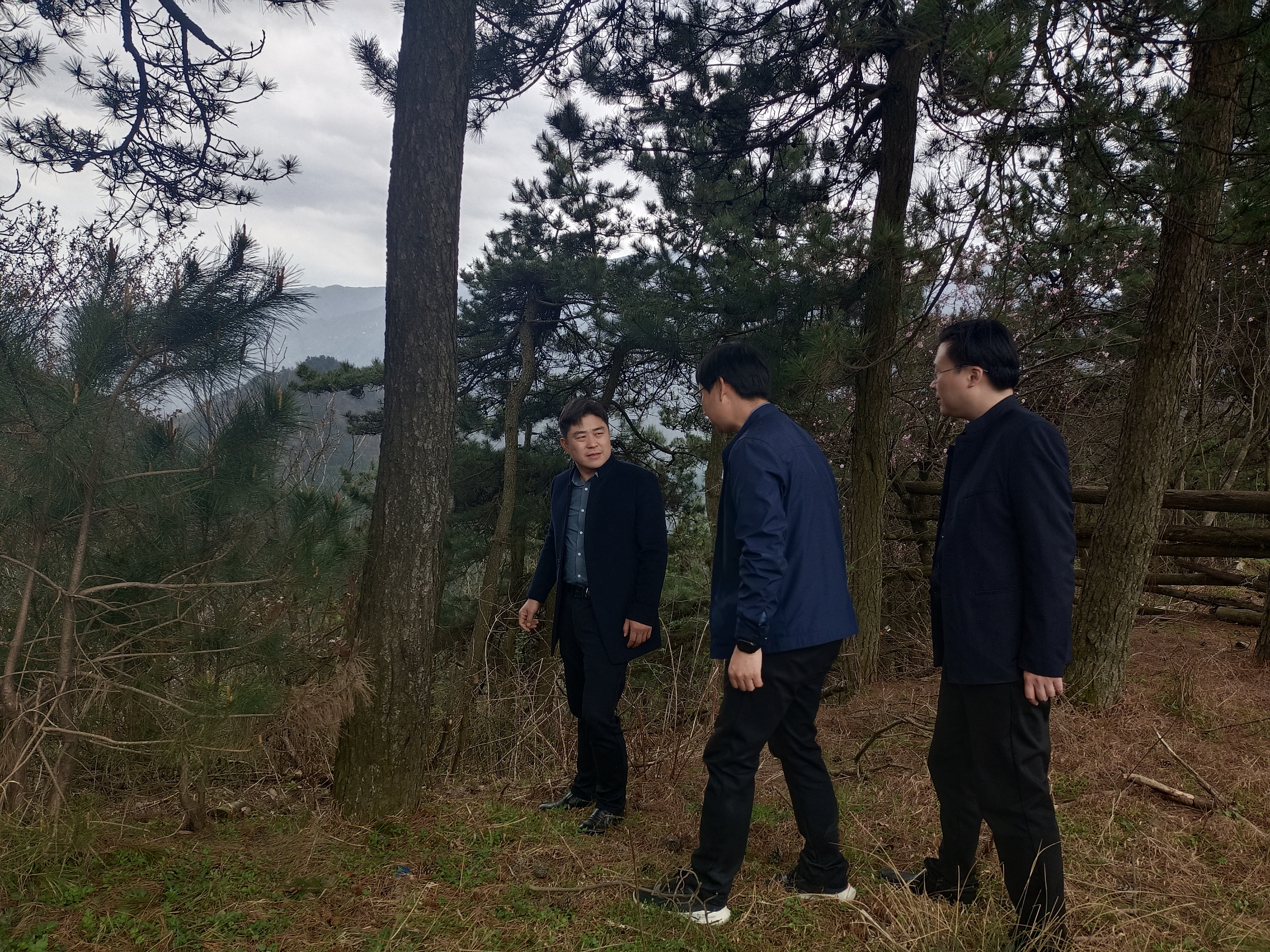 县委常委县纪委书记监委主任县级区域性林长陈明龙赴太阳乡开展巡林