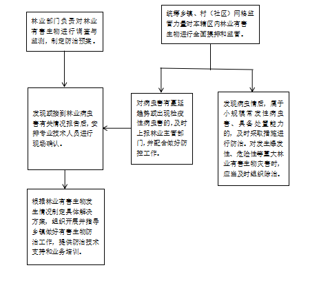 霍山县佛子岭镇林业有害生物防治工作运行流程图