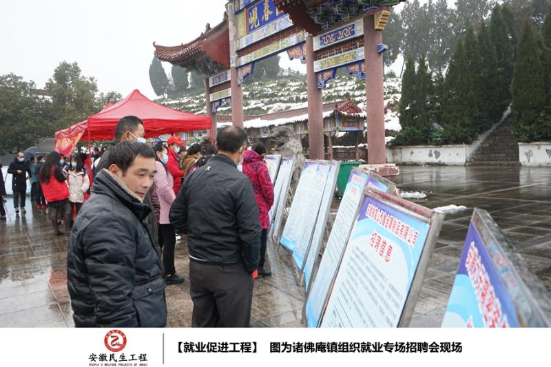 2022年诸佛庵镇就业促进工程图集