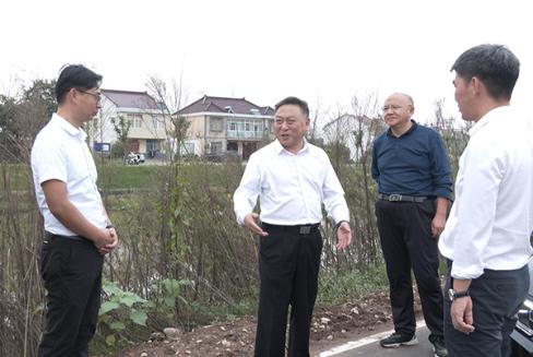 张守锐调研指导秋收秋种工作