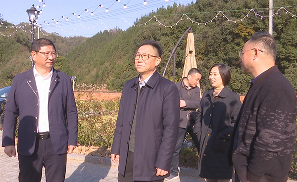 副主任李燕带队开展"深化林长制改革 推动霍山绿色发展"专题调研