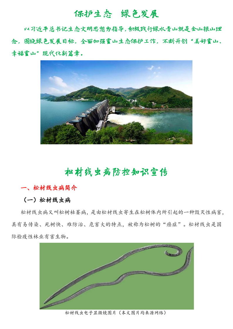 松材线虫病防控知识宣传