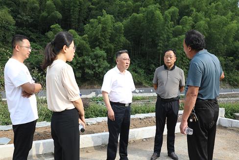 张守锐调研以工代赈项目建设工作