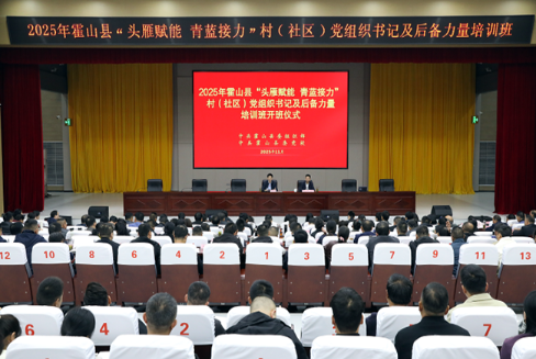 全县“头雁赋能 青蓝接力”村（社区）党组织书记及后备力量培训班开班