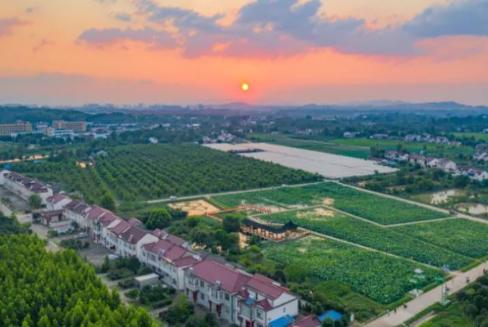 “散装”乡村如何“聚”变？
——霍山片区化整合激活乡村振兴“一盘棋”